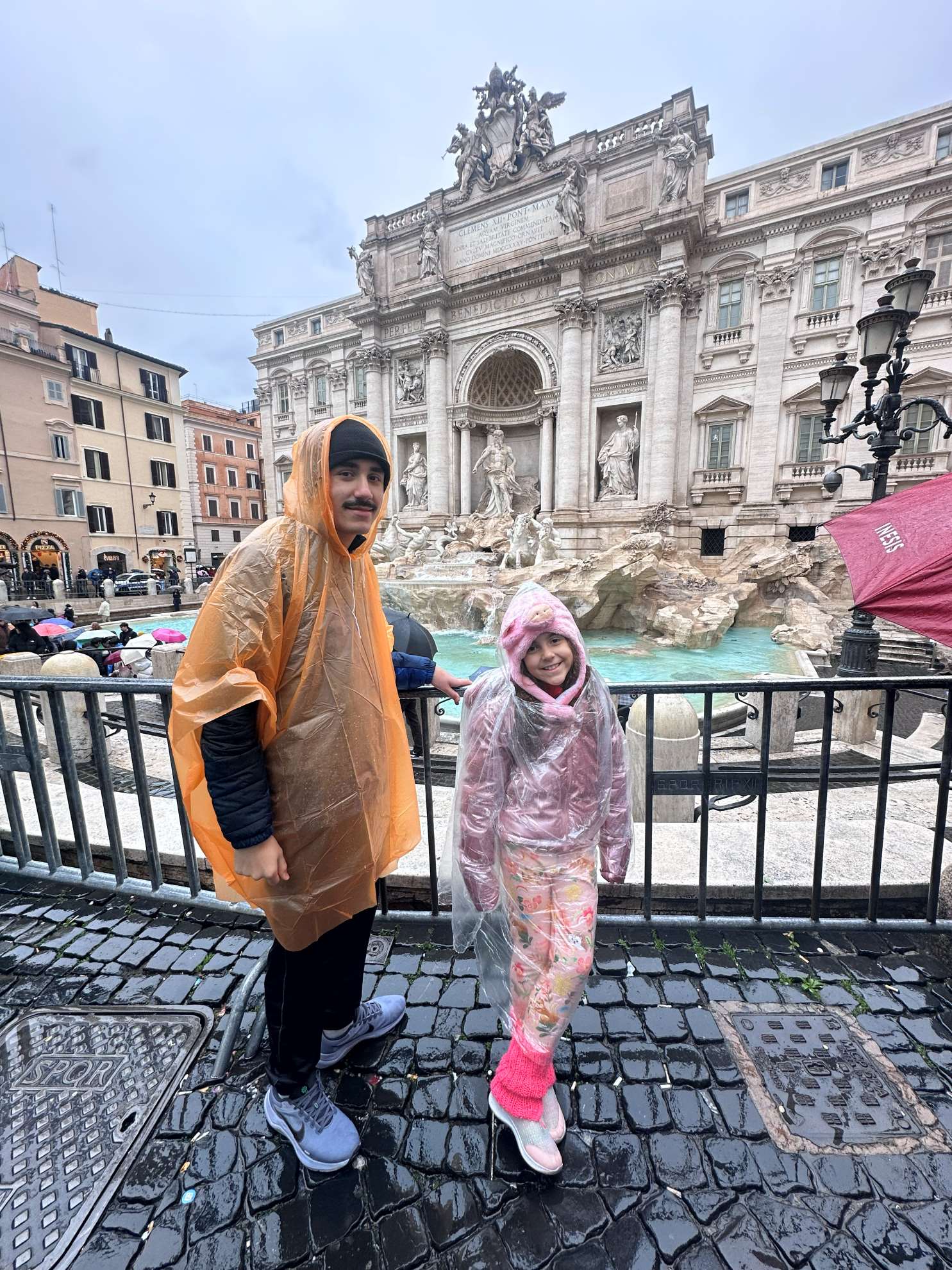 fontana di trevi roma natal