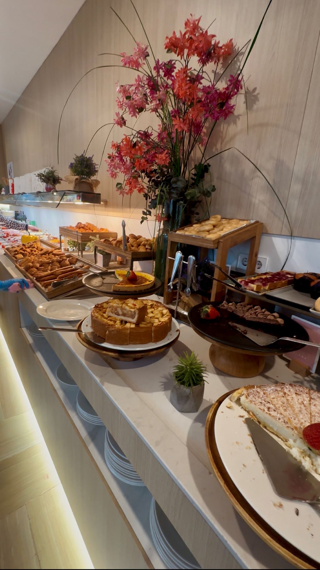 barcelo valencia hotel