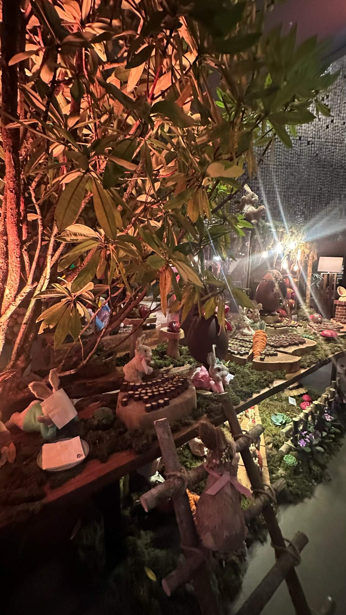 bendito cacao campos do jordão