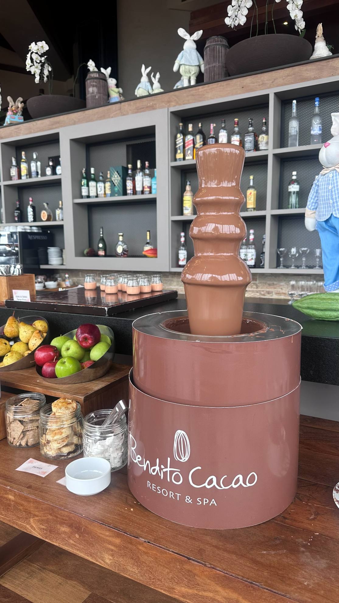 bendito cacao campos do jordão