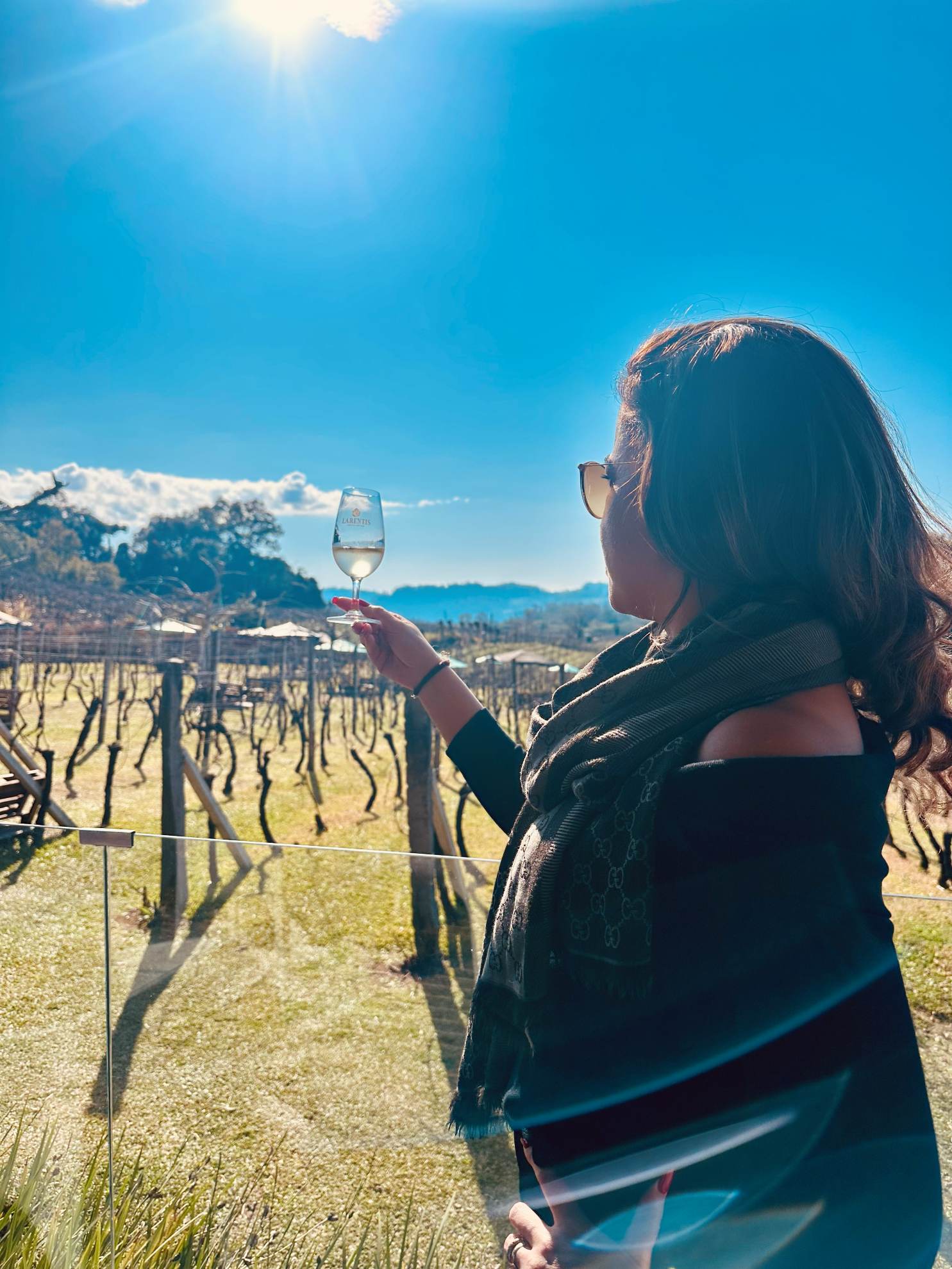 Vale dos vinhedos larentis